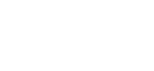 Al Ain Developer Logo